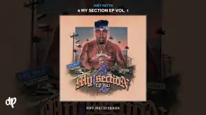 4 My Section Ep Vol. 1 BY Joey Fatts